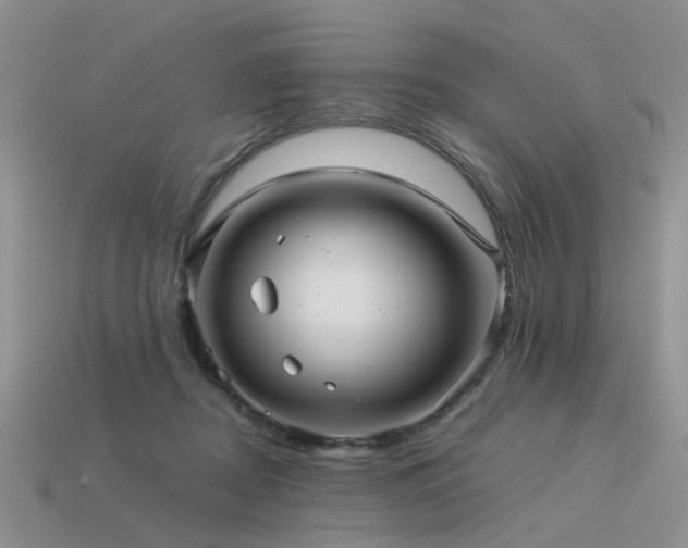 X0000113590362200909181336