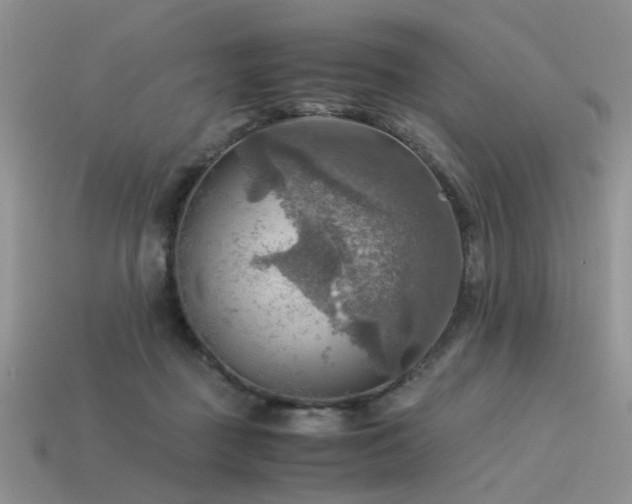 X0000113590363200909181336