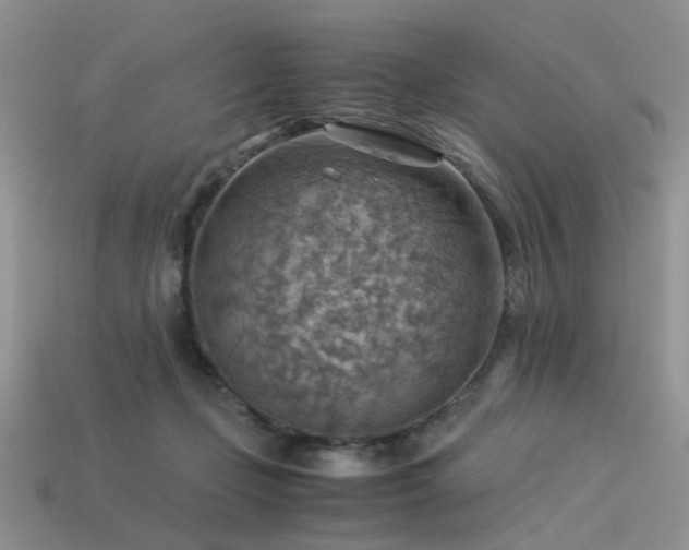 X0000113590365200909181336