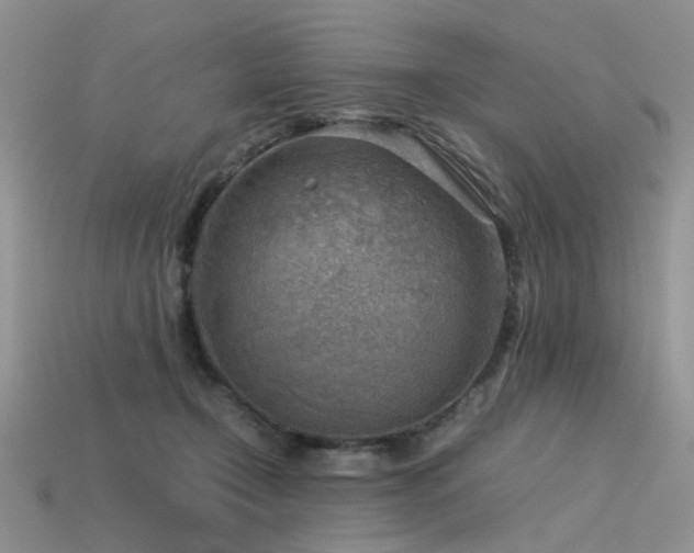 X0000113590366200909181336