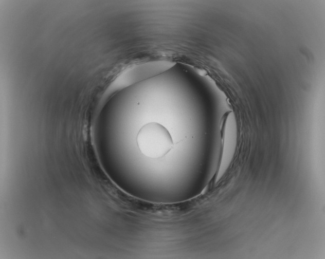 X0000113590368200909181336