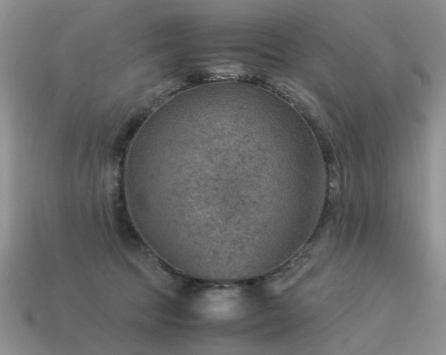 X0000113590369200909181336