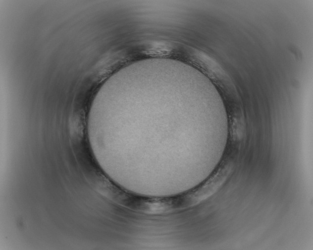 X0000113590370200909181336