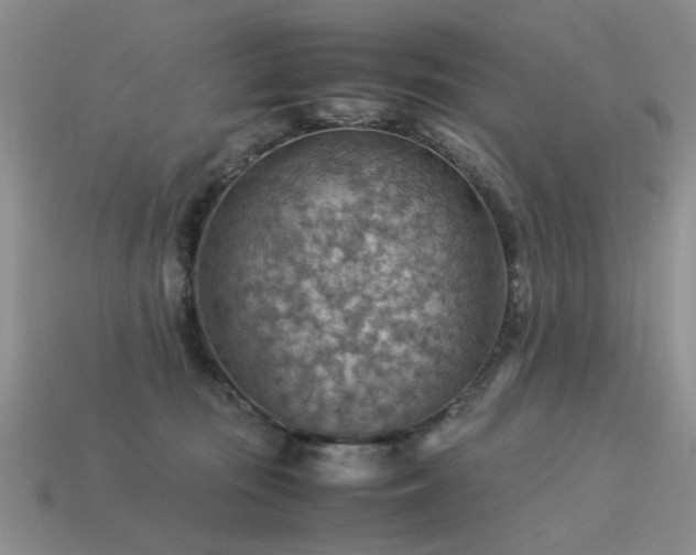 X0000113590371200909181336