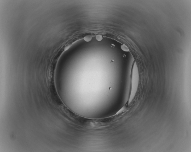 X0000113590372200909181336