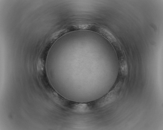 X0000113590374200909181336