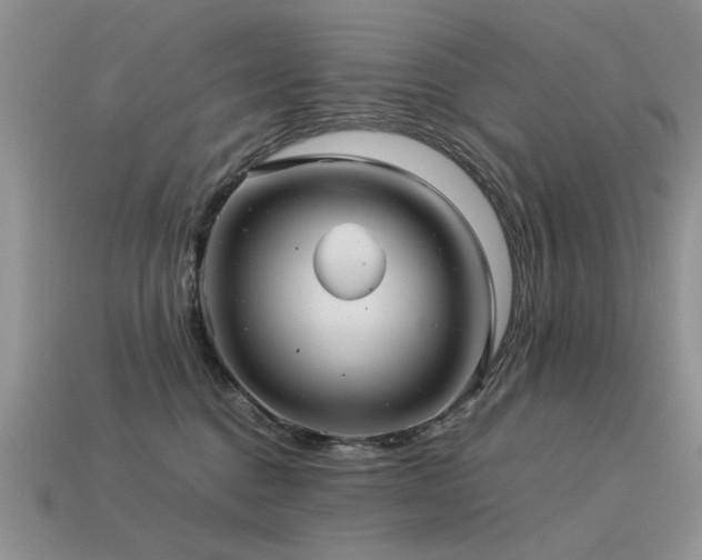 X0000113590376200909181336