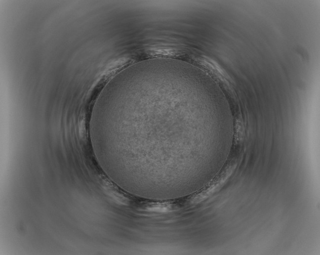 X0000113590377200909181336