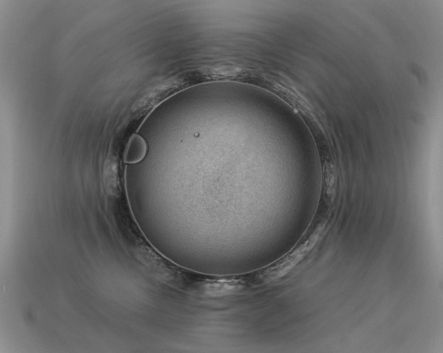 X0000113590378200909181336