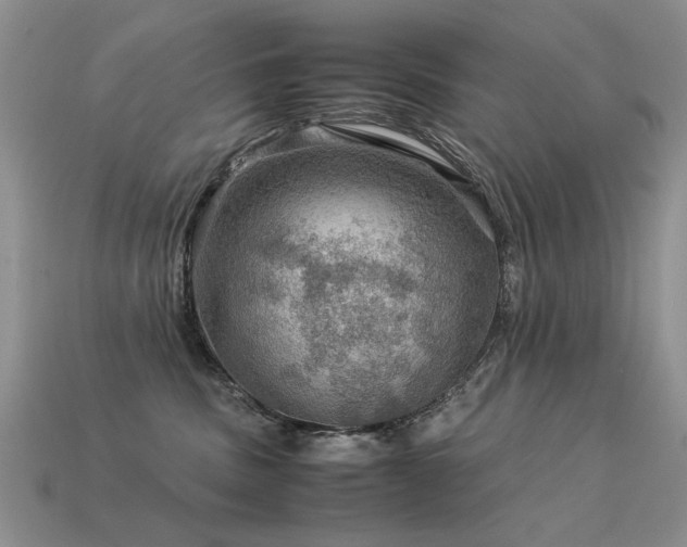 X0000113590379200909181336