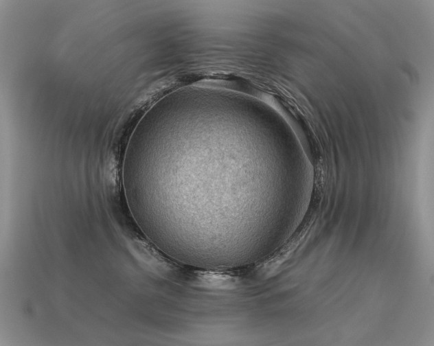 X0000113590380200909181336