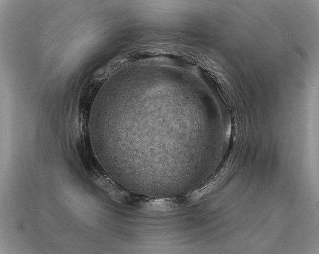 X0000113590382200909181336