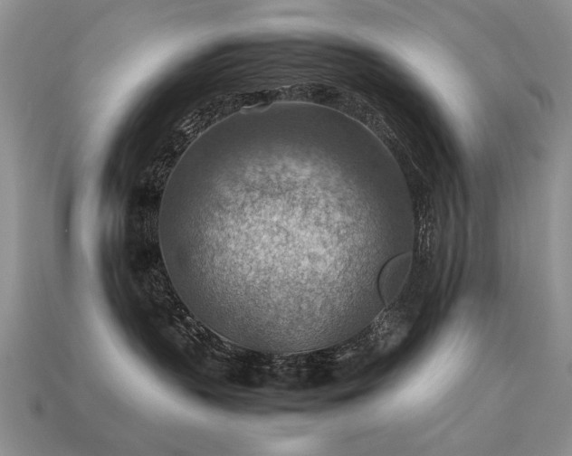 X0000113590383200909181336