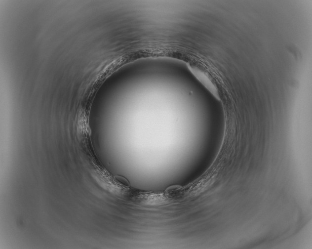 X0000113590384200909181336