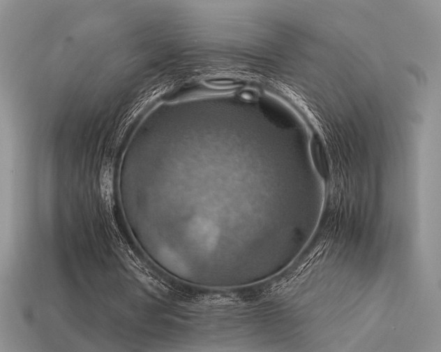 X0000113590386200909181336