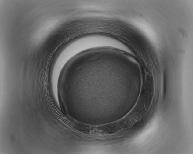 X0000113590387200909181336