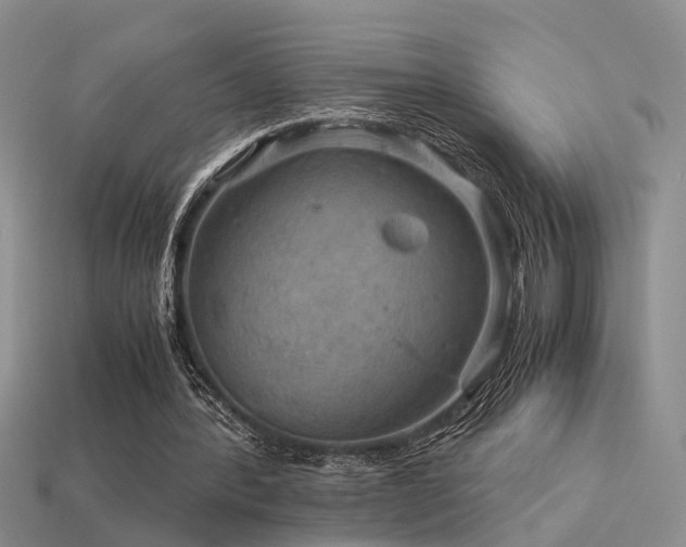 X0000113590388200909181336