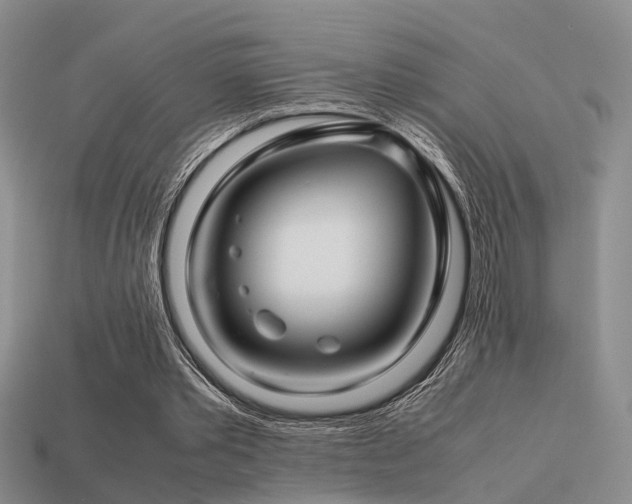 X0000113590389200909181336