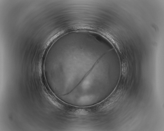 X0000113590390200909181336