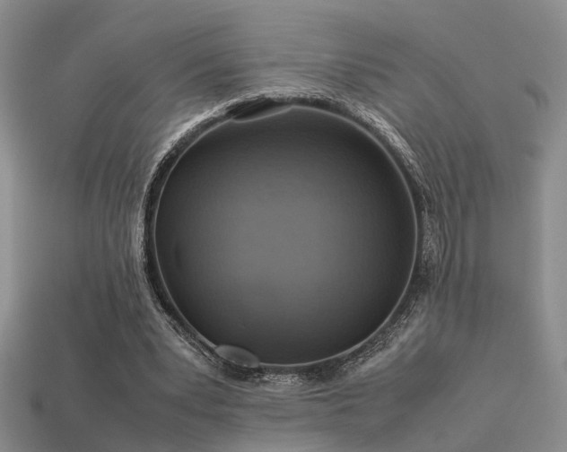 X0000113590391200909181336