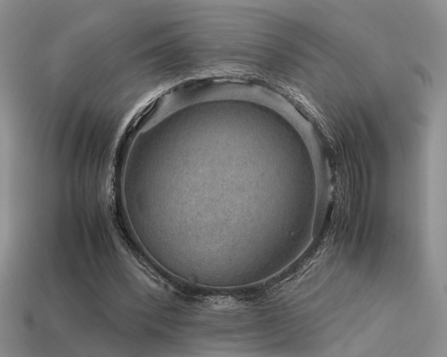 X0000113590392200909181336