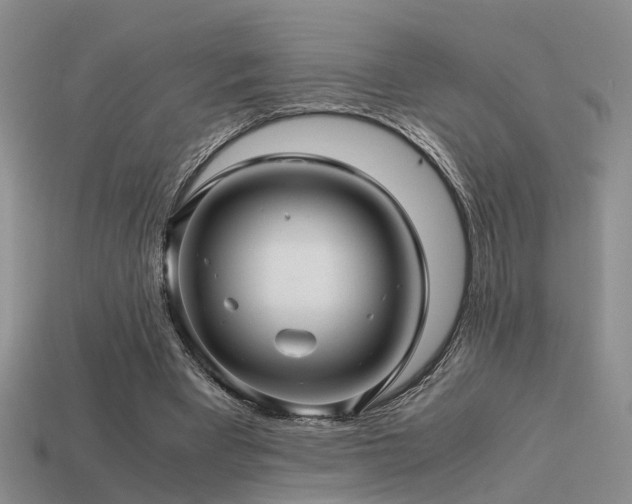 X0000113590393200909181336