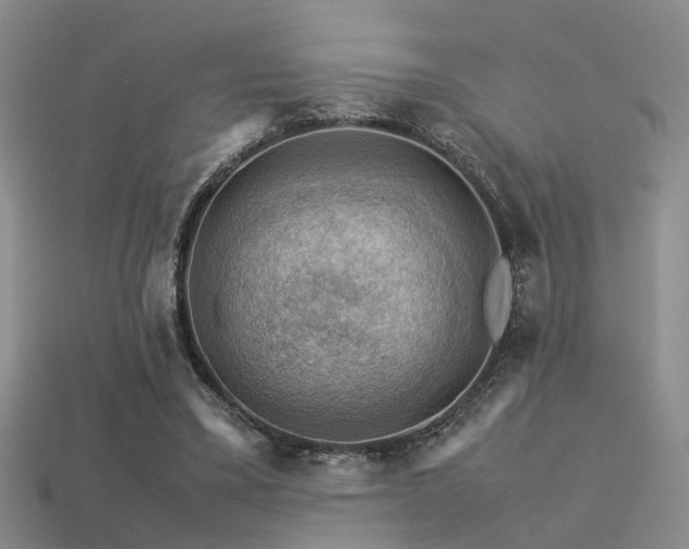 X0000113590395200909181336