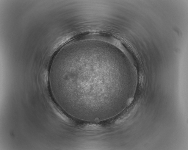 X0000113590397200909181336