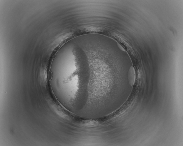 X0000113590398200909181336