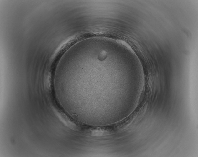 X0000113590400200909181336