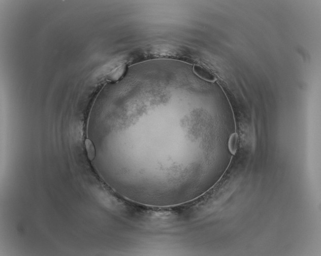 X0000113590401200909181336