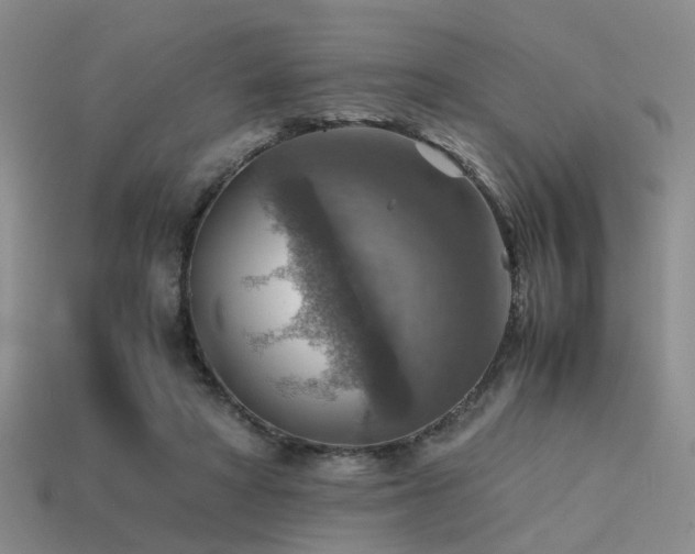 X0000113590402200909181336