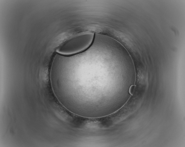 X0000113590403200909181336