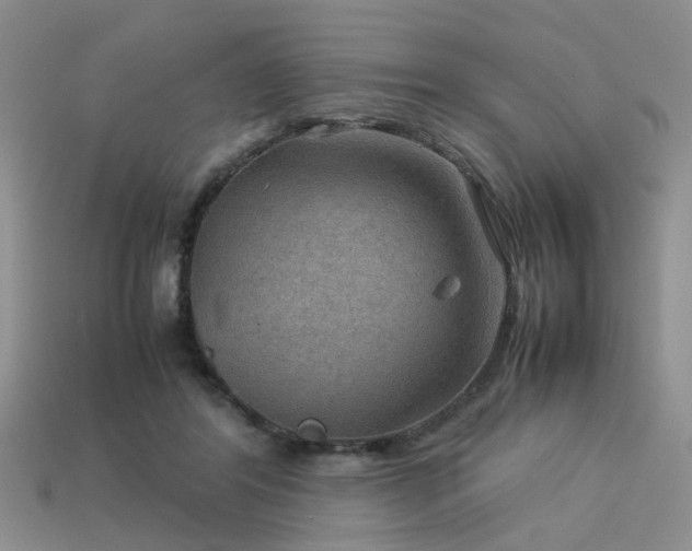 X0000113590404200909181336