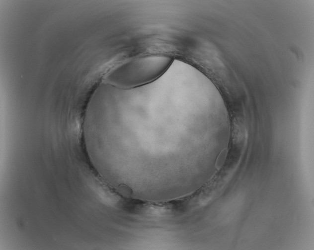 X0000113590405200909181336