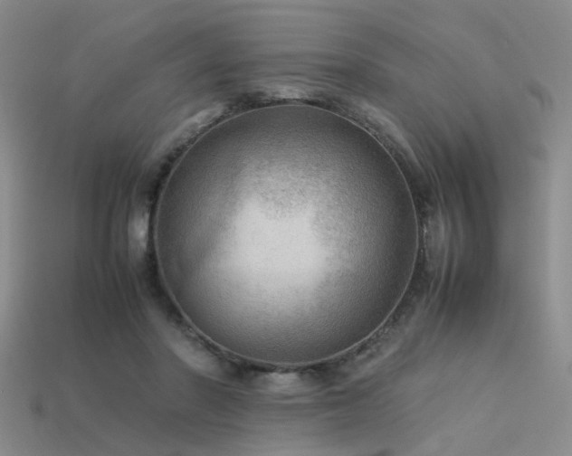 X0000113590406200909181336