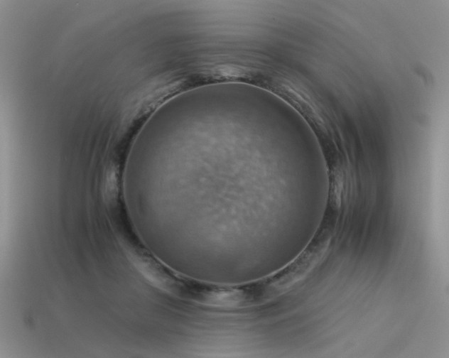 X0000113590410200909181336