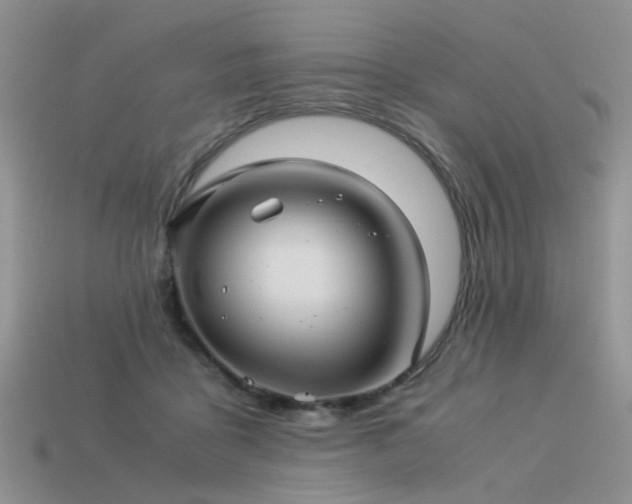 X0000113590411200909181336