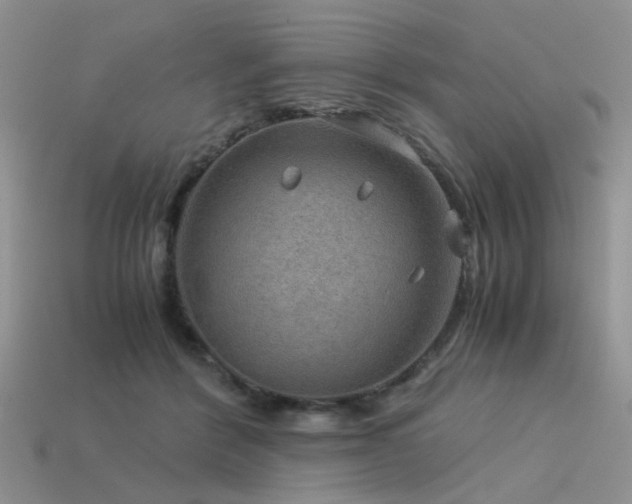 X0000113590412200909181336