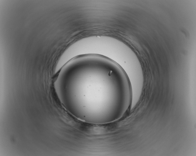 X0000113590413200909181336