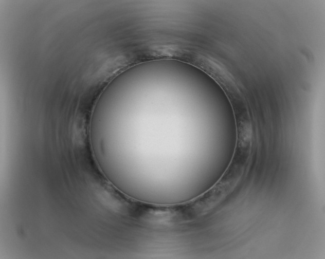 X0000113590414200909181335