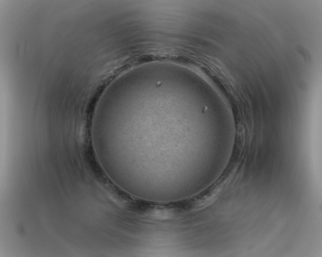 X0000113590416200909181335