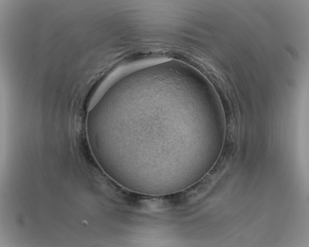 X0000113590417200909181335