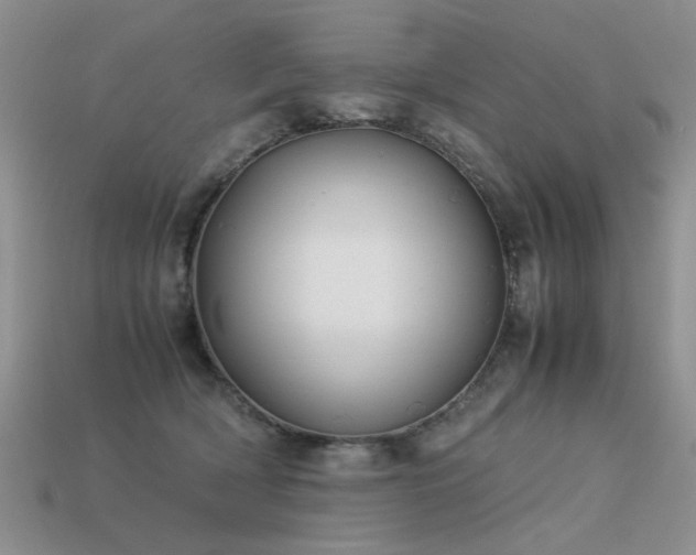 X0000113590418200909181335