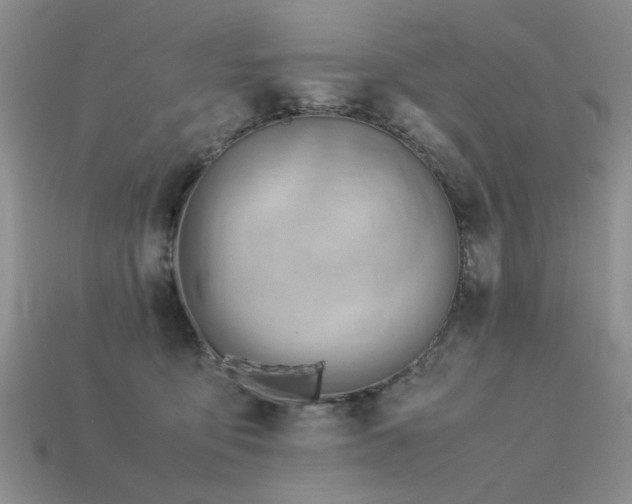 X0000113590419200909181335