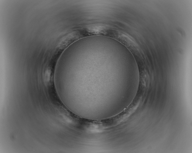 X0000113590420200909181335