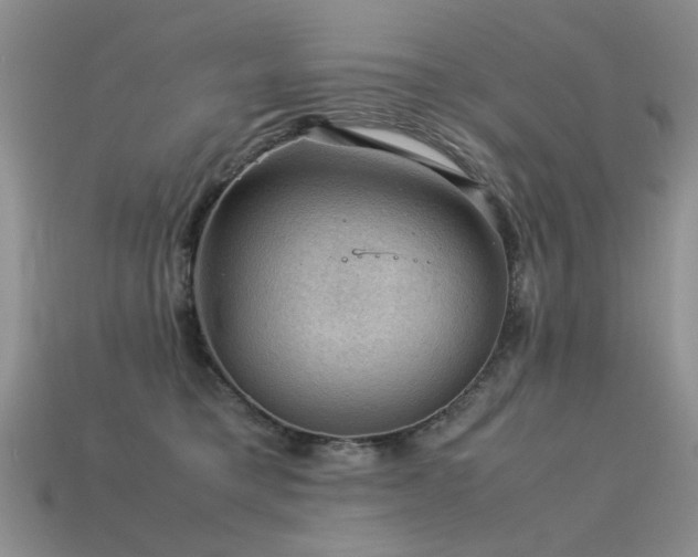 X0000113590421200909181335