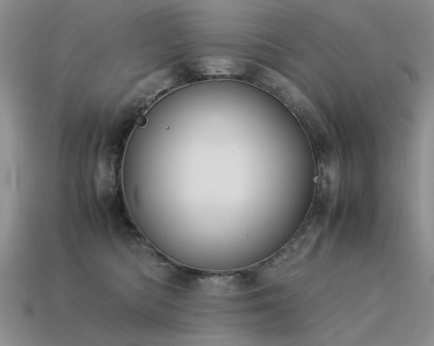 X0000113590422200909181335