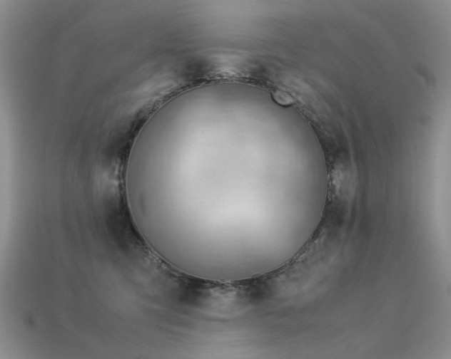 X0000113590423200909181335