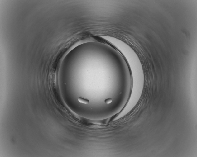 X0000113590425200909181335